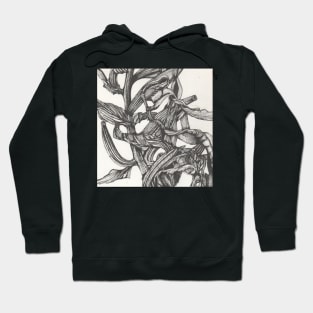 Botanical Study. Hoodie